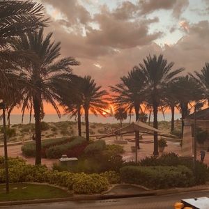 Meet your Posher, Sidney